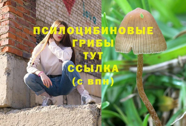 метадон Абинск