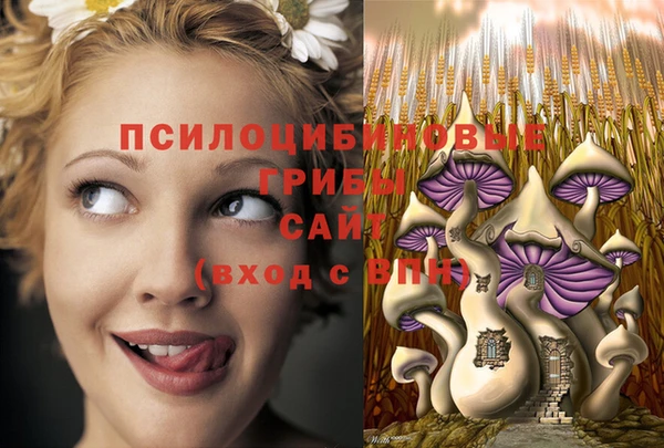 метадон Абинск