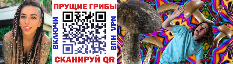 Галлюциногенные грибы Cubensis  даркнет сайт  площадка клад  Отрадный 